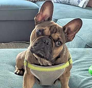 Photo of Churro