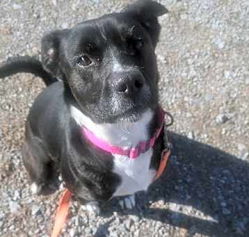 Photo of MOLLY