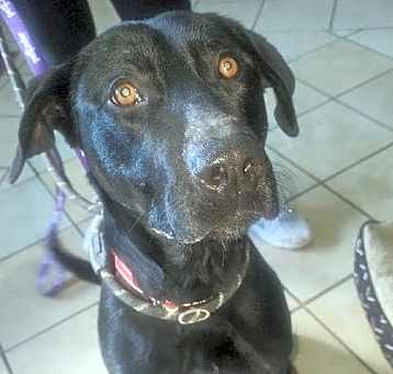 Photo of DANTE