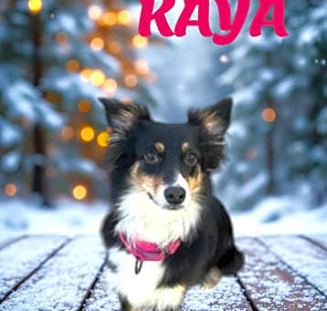 Photo of Kayla