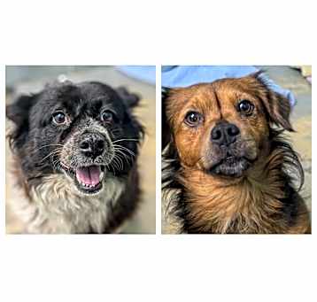 Photo of Gabby & Spice