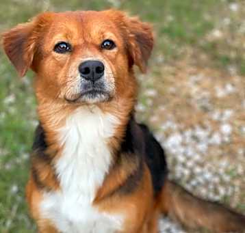 Photo of Bonnie