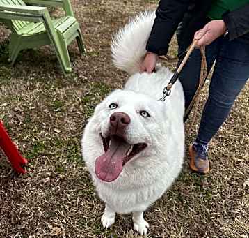 Photo of Aspen