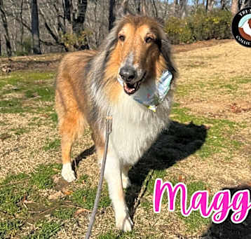 Photo of Maggie