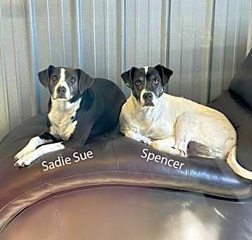 Photo of Sadie Sue