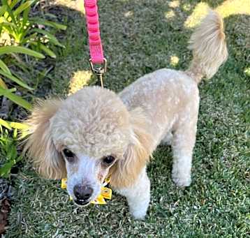 Photo of Evie