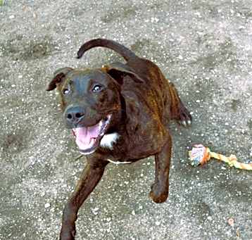 Photo of Landry