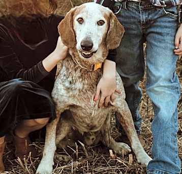 Photo of Ranger
