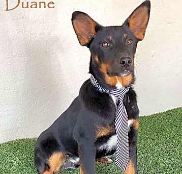 Photo of Duane