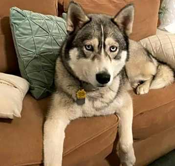 Photo of Aspen