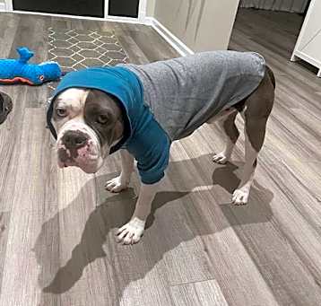 Photo of Fergus