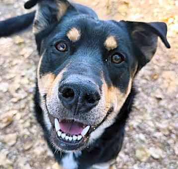 Photo of TUCKER