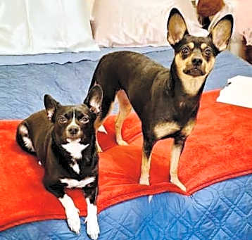 Photo of Maggie & Minnie