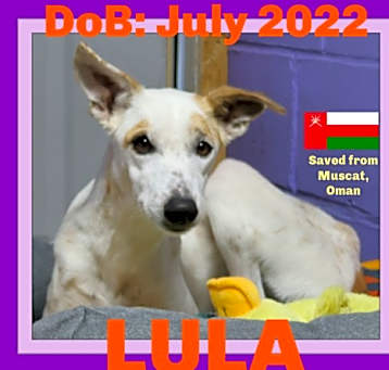 Photo of LULA