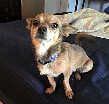 Photo of Chex