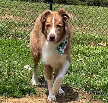 Photo of 0659 Arthur