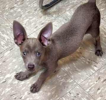 Photo of Flynn