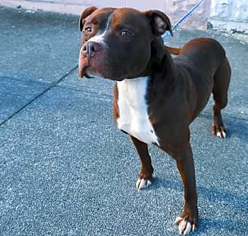 Photo of Zeus