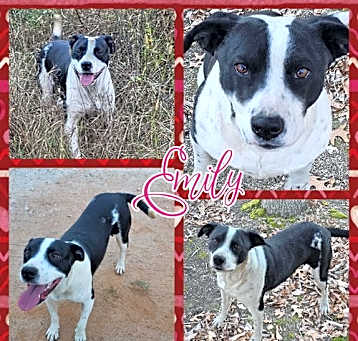 Photo of Emily