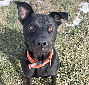 Photo of DAFFY