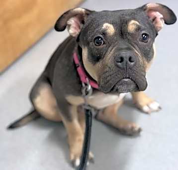 Photo of Emi