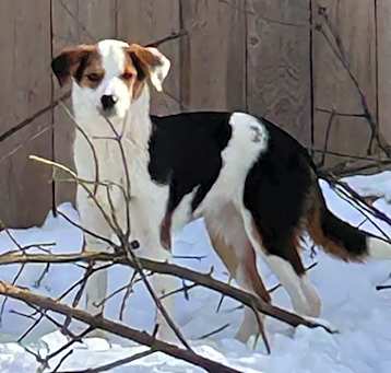 Photo of Jewel