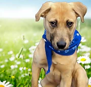 Photo of INDY