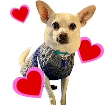 Photo of Toby