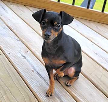 Photo of Buddy