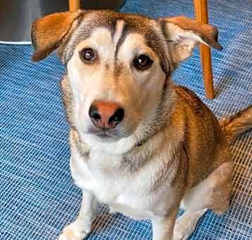 Photo of Kippa
