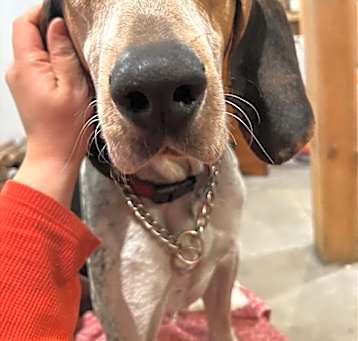 Photo of Frank