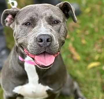 Photo of Bella