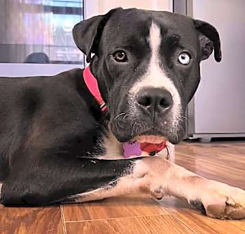 Photo of Buster Brown