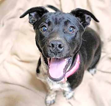 Photo of Delilah