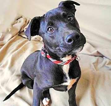 Photo of Cash