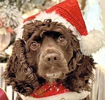 Photo of Hershey