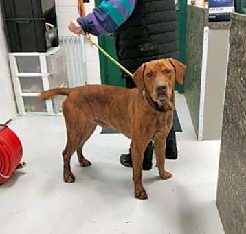 Photo of Woodrow