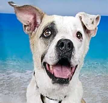 Photo of NAMASTE