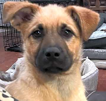 Photo of Little Bear