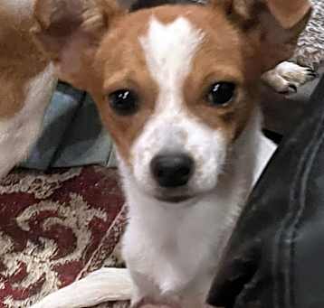 Photo of Ernie