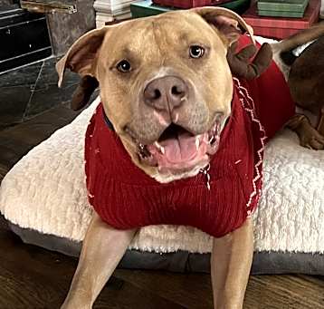 Photo of Bruce