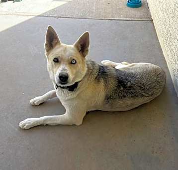 Photo of LAYLA