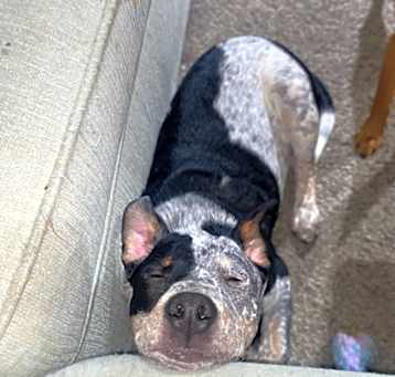 Photo of Linkin