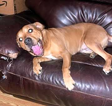 Photo of Tootsie