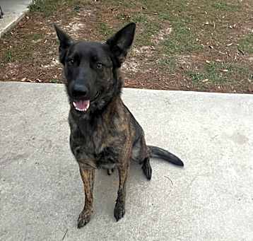 Photo of NALA