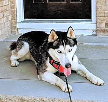 Photo of Thor
