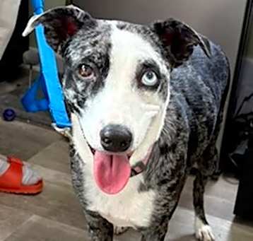 Photo of Whoopie
