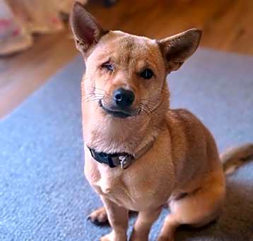 Photo of Mimi