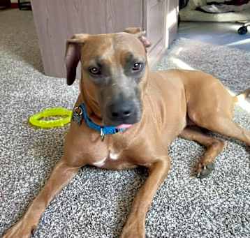 Photo of Blu