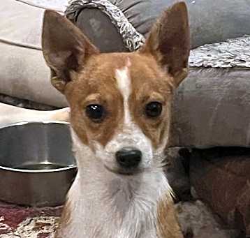 Photo of Bert